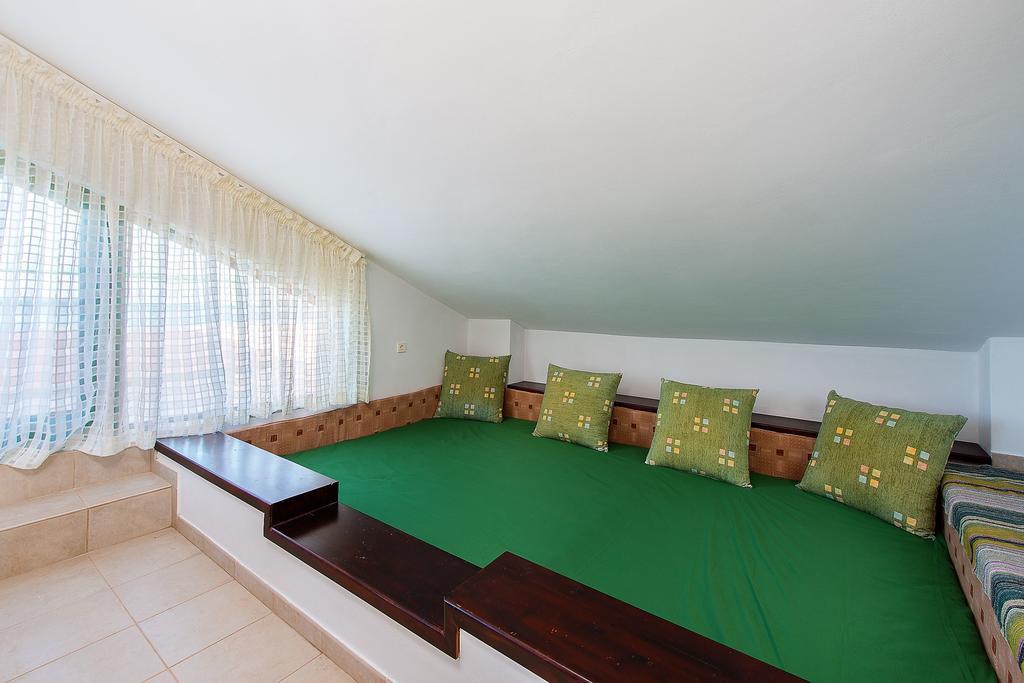 Beachfront Rhodes Seashell *