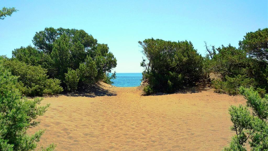 Beachfront Rhodes Seashell Holiday home *