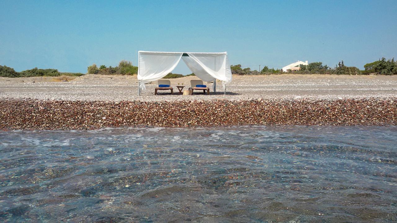 Beachfront Rhodes Seashell